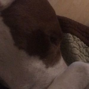 Meet your Posher, Robin